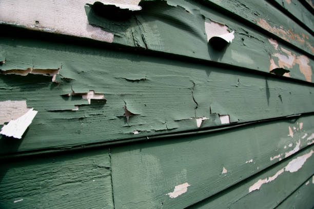 Best Shed Removal  in K I Sawyer, MI